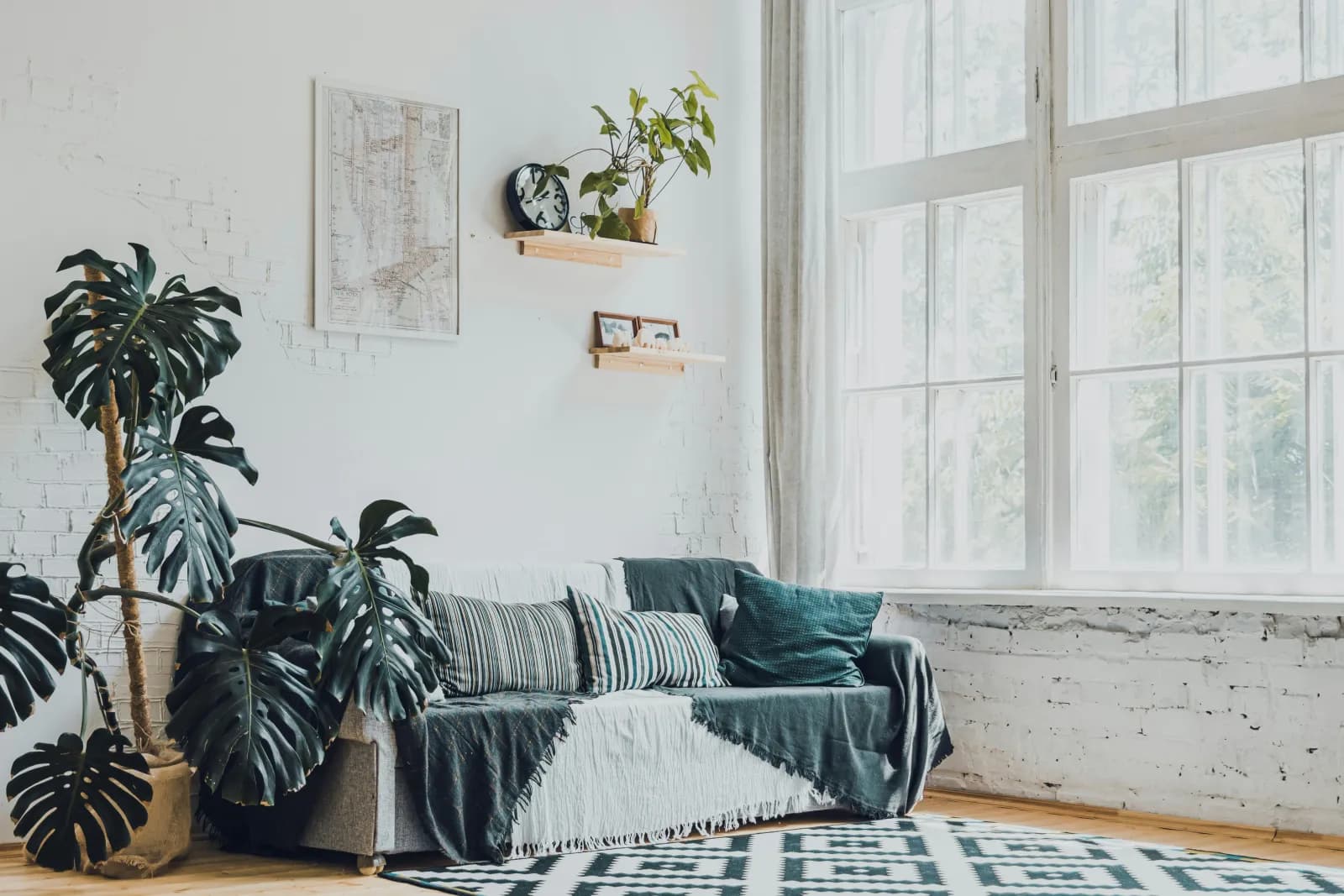 Lys leilighet med sofa, stor monstera og mønstret teppe ved et stort vindu
